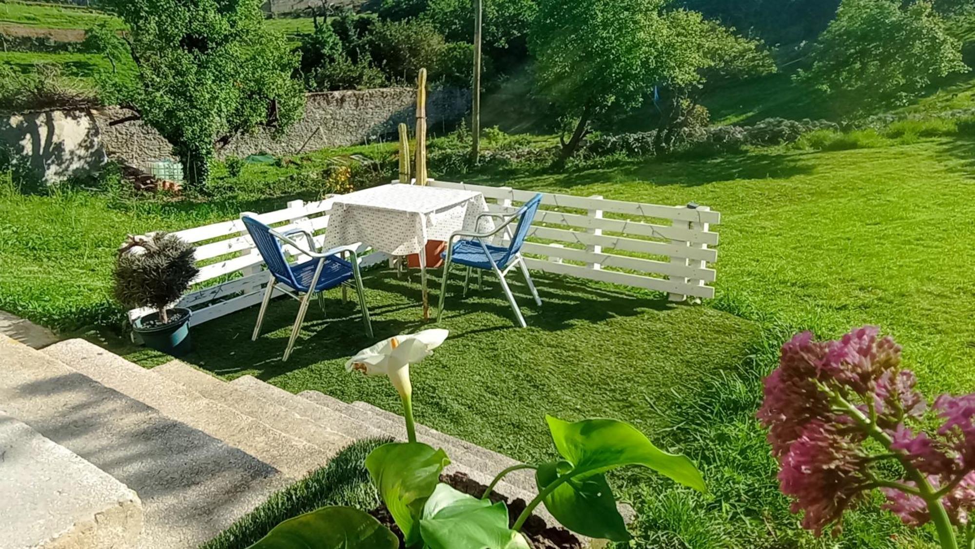 Vivienda En Lekeitio Appartement Buitenkant foto